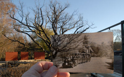 Tåget på Skansen