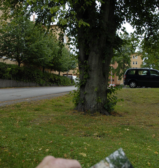 Klätterlinden i Nynäshamn